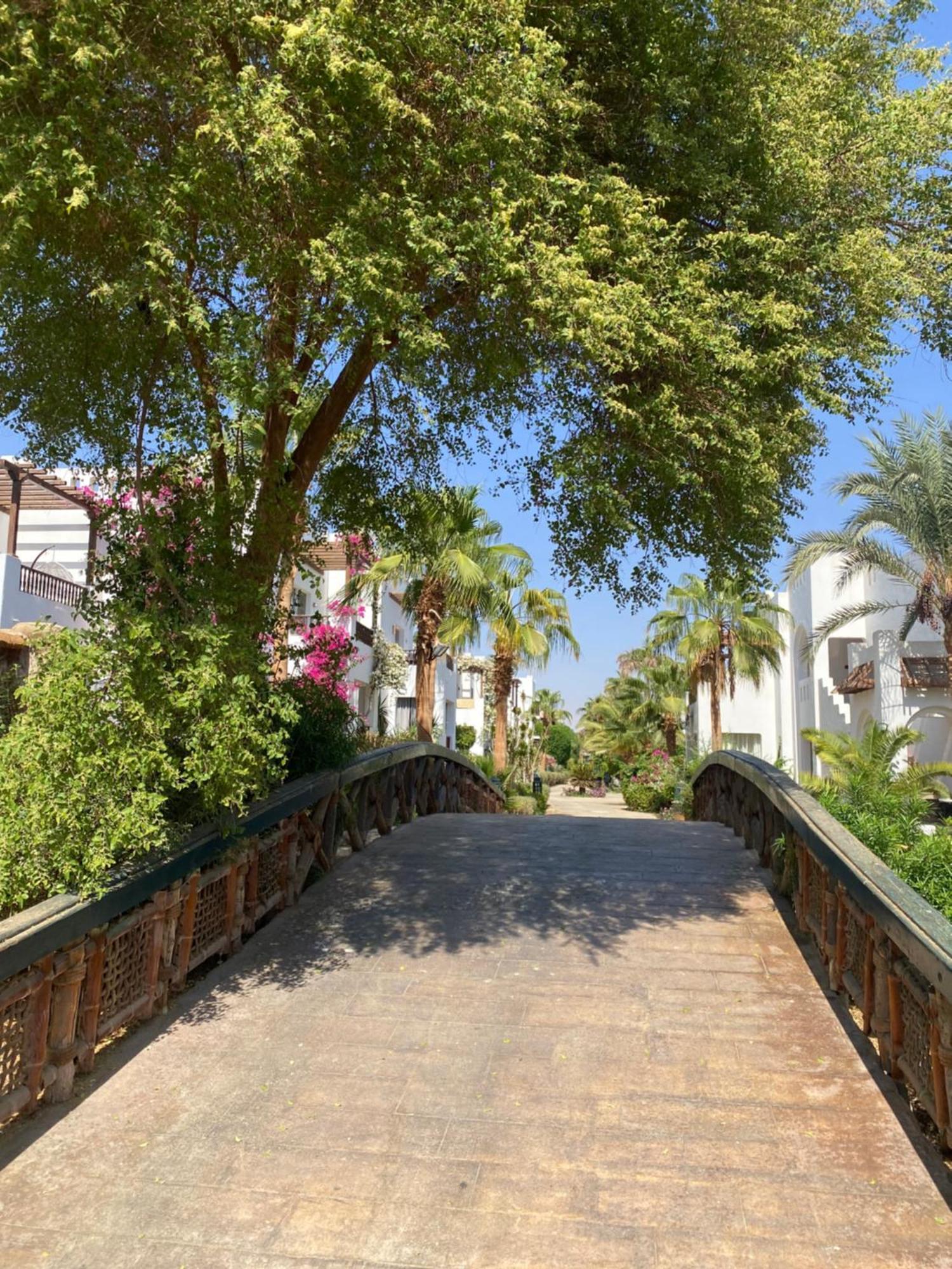 Апартаменти Delta Sharm Екстер'єр фото